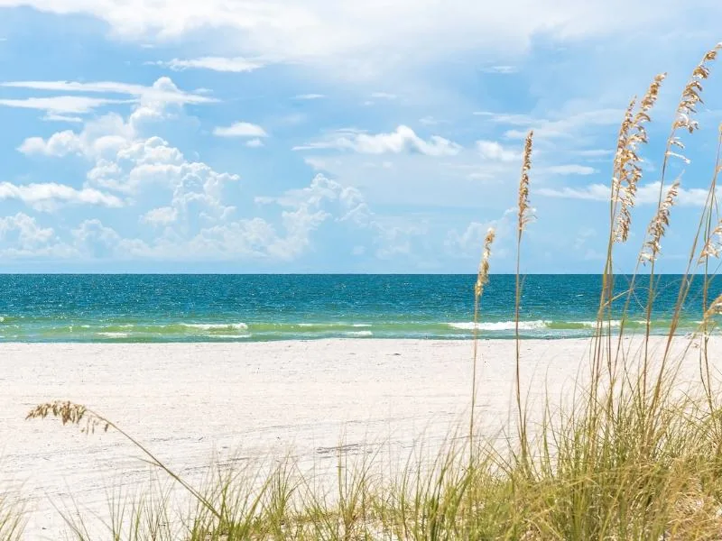 St. Pete Beach with dune grass 