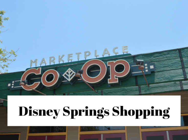 the-best-disney-springs-stores-to-visit-pixie-dusted-journeys
