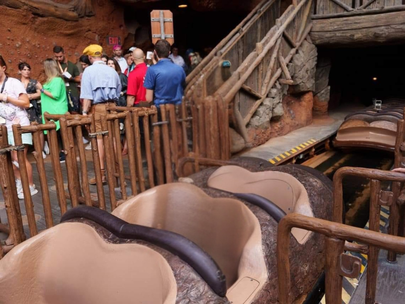 Tiana's Bayou Adventure Ride Vehicle